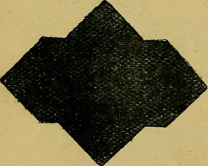 An illustration from Puzzles old and new, 1893, leaf 107