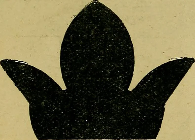 An illustration from Puzzles old and new, 1893, leaf 109