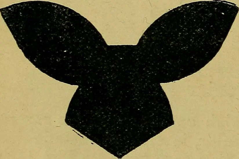 An illustration from Puzzles old and new, 1893, leaf 109