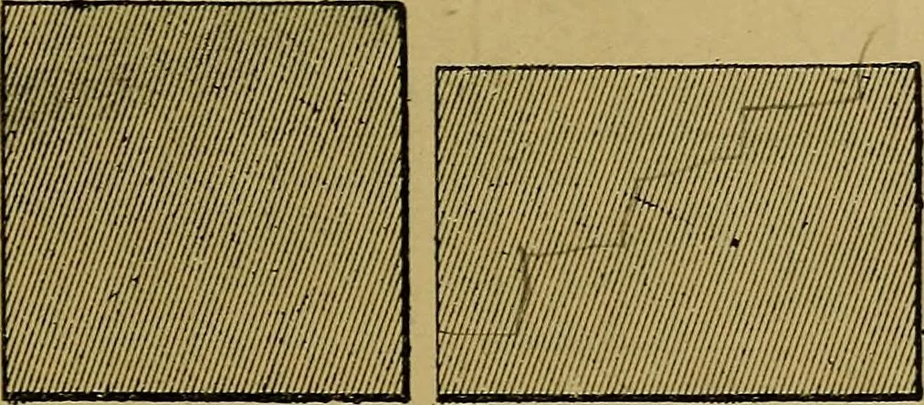 An illustration from Puzzles old and new, 1893, leaf 114