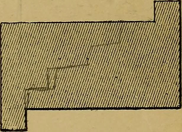 An illustration from Puzzles old and new, 1893, leaf 114