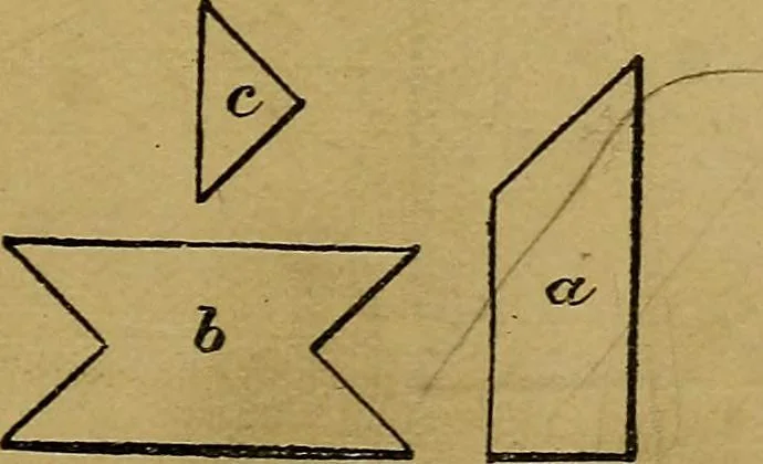 An illustration from Puzzles old and new, 1893, leaf 116