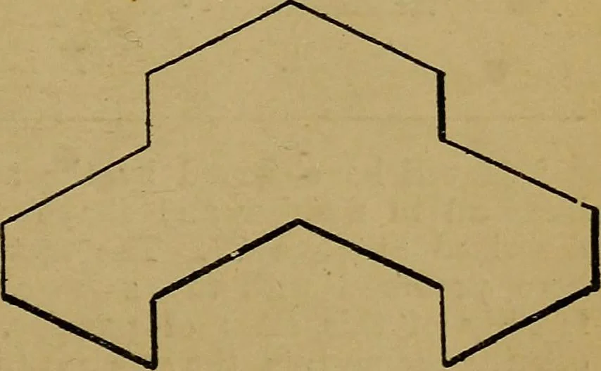 An illustration from Puzzles old and new, 1893, leaf 118