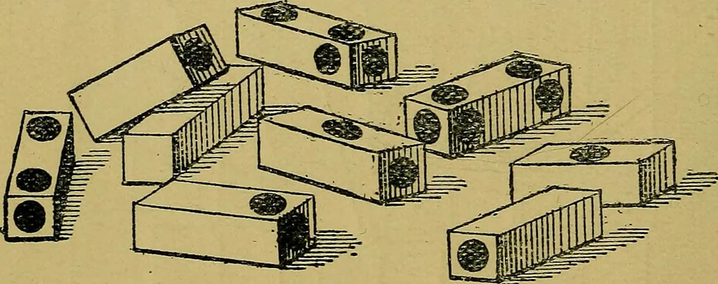 An illustration from Puzzles old and new, 1893, leaf 121