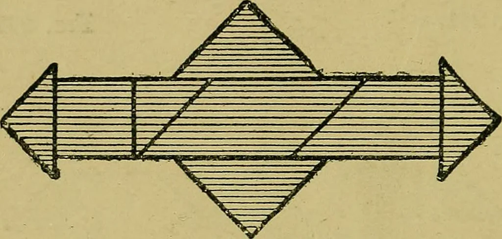 An illustration from Puzzles old and new, 1893, leaf 137