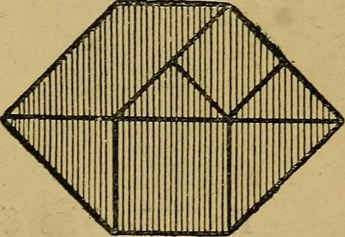 An illustration from Puzzles old and new, 1893, leaf 138