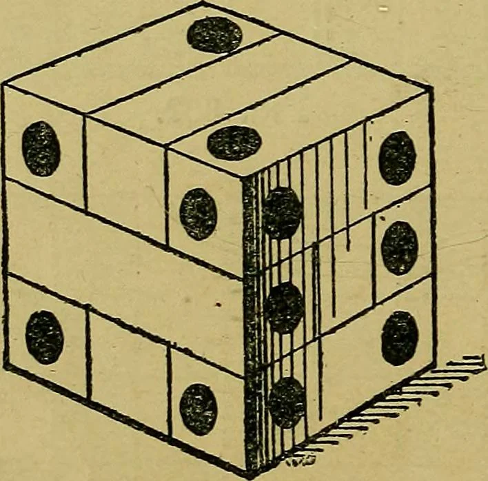 An illustration from Puzzles old and new, 1893, leaf 151