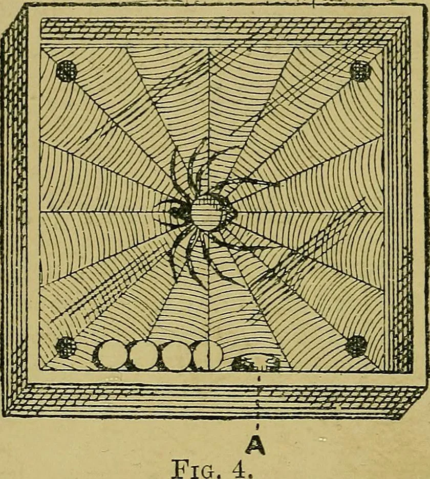 An illustration from Puzzles old and new, 1893, leaf 27