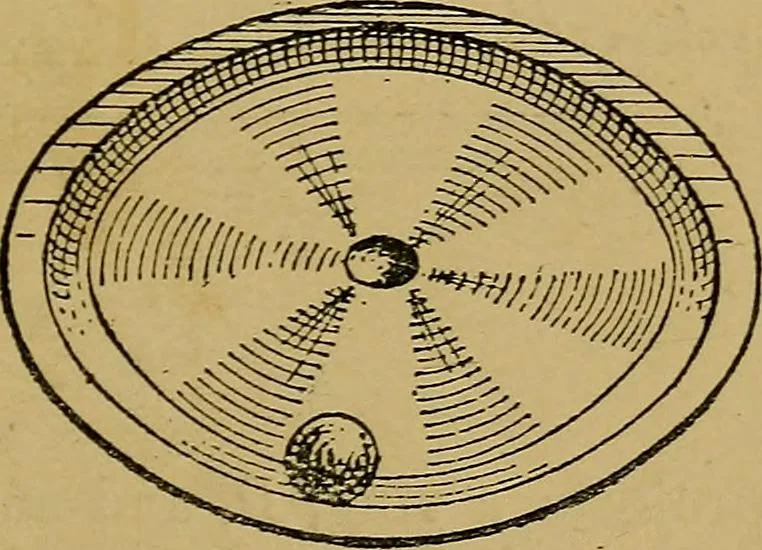 An illustration from Puzzles old and new, 1893, leaf 30