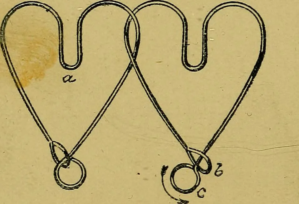 An illustration from Puzzles old and new, 1893, leaf 319