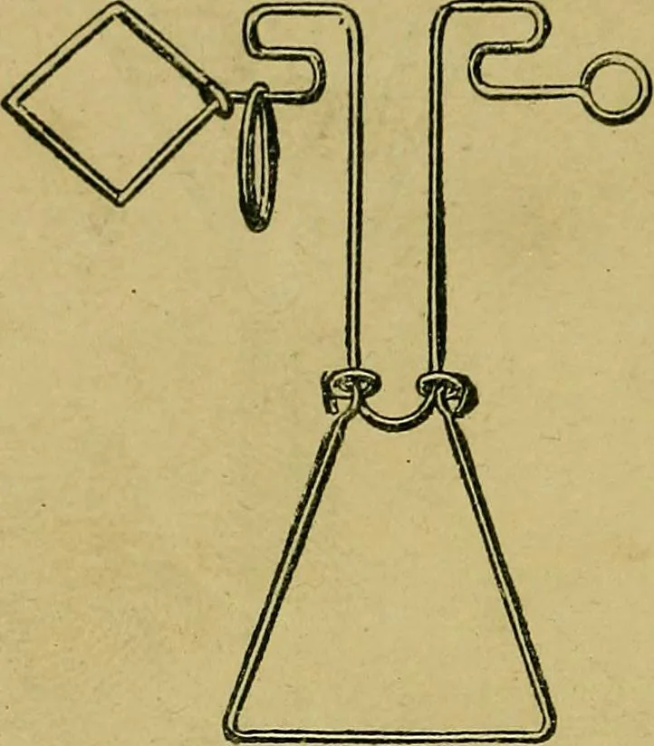 An illustration from Puzzles old and new, 1893, leaf 321