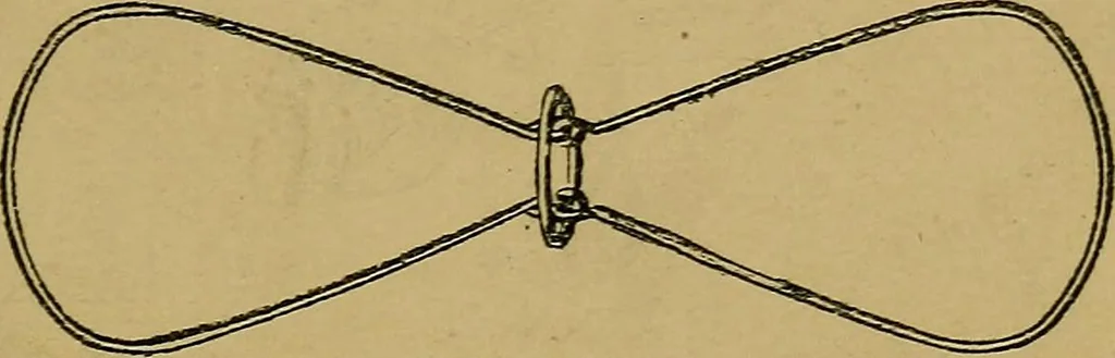 An illustration from Puzzles old and new, 1893, leaf 322