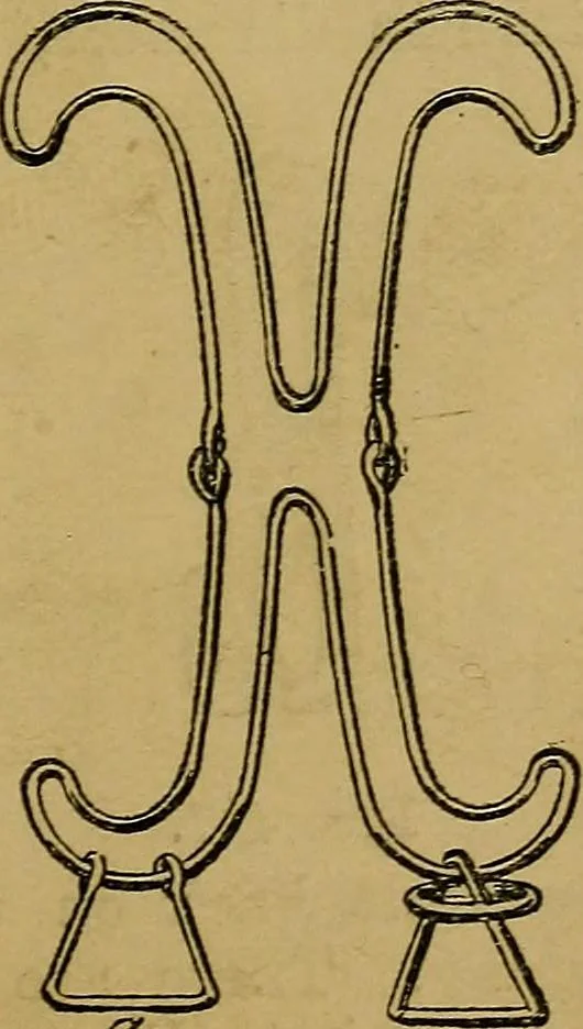 An illustration from Puzzles old and new, 1893, leaf 322
