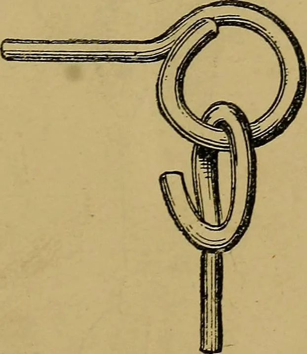 An illustration from Puzzles old and new, 1893, leaf 324
