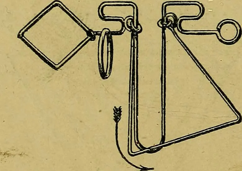 An illustration from Puzzles old and new, 1893, leaf 327