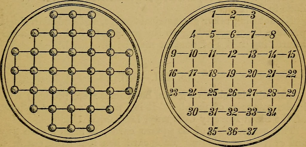 An illustration from Puzzles old and new, 1893, leaf 356