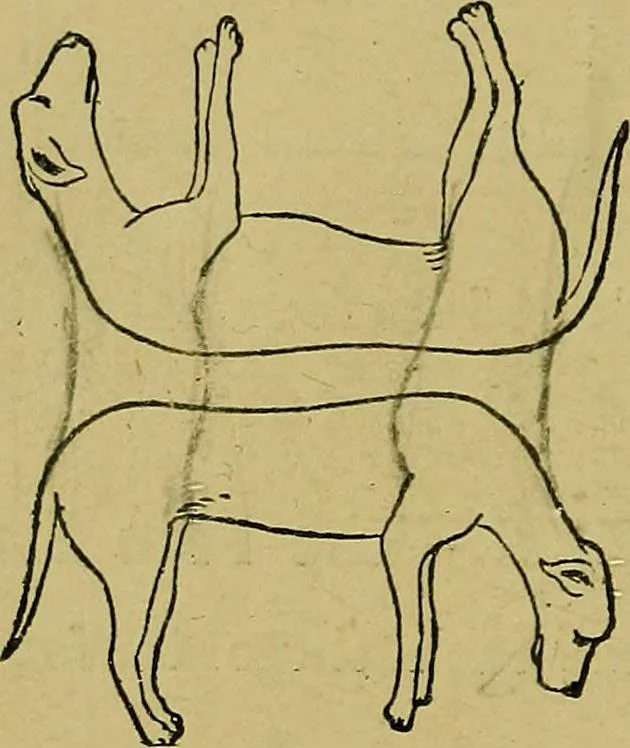 An illustration from Puzzles old and new, 1893, leaf 365