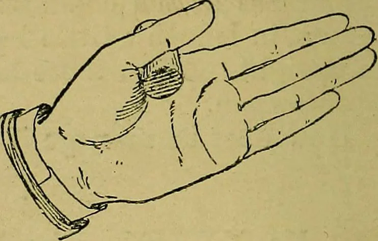 An illustration from Puzzles old and new, 1893, leaf 369