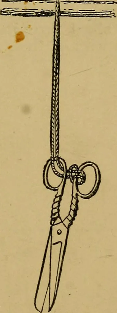 An illustration from Puzzles old and new, 1893, leaf 372