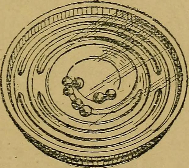 An illustration from Puzzles old and new, 1893, leaf 38