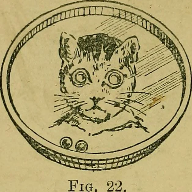 An illustration from Puzzles old and new, 1893, leaf 39
