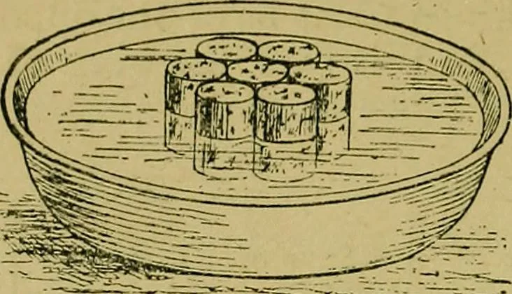 An illustration from Puzzles old and new, 1893, leaf 397