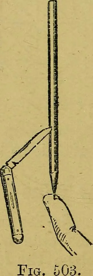 An illustration from Puzzles old and new, 1893, leaf 399