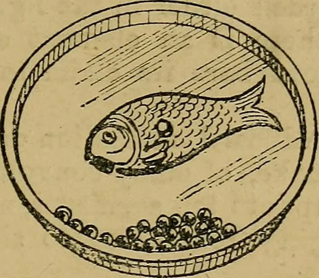 An illustration from Puzzles old and new, 1893, leaf 40