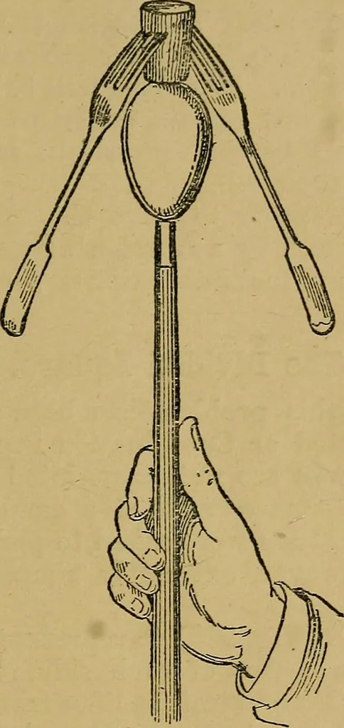 An illustration from Puzzles old and new, 1893, leaf 400
