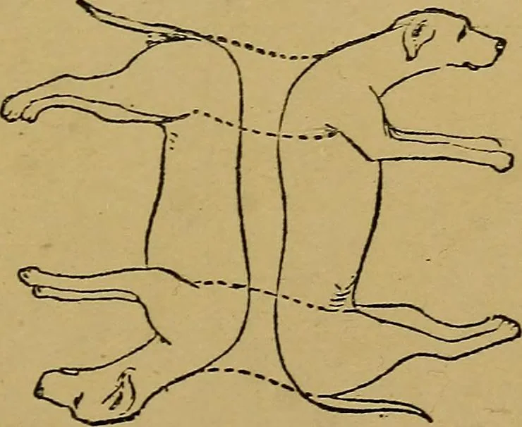 An illustration from Puzzles old and new, 1893, leaf 404
