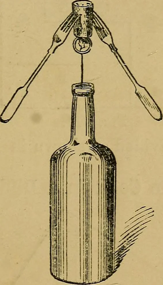 An illustration from Puzzles old and new, 1893, leaf 406