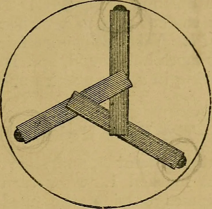 An illustration from Puzzles old and new, 1893, leaf 408