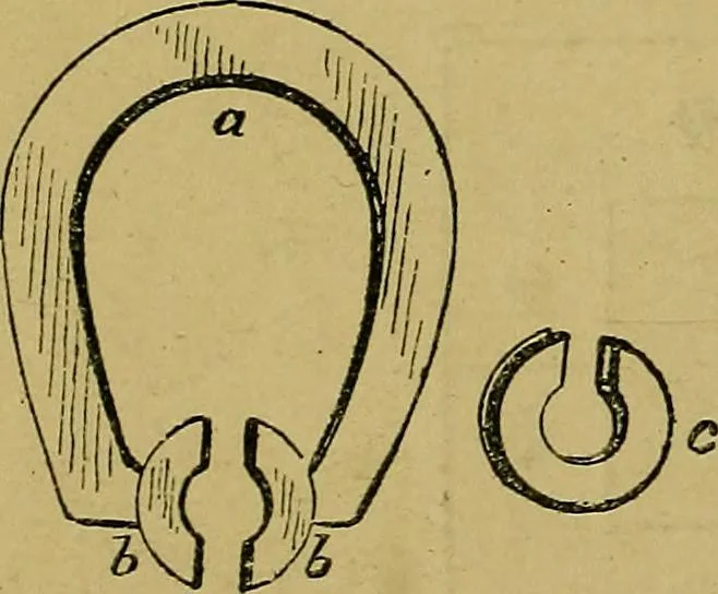 An illustration from Puzzles old and new, 1893, leaf 409