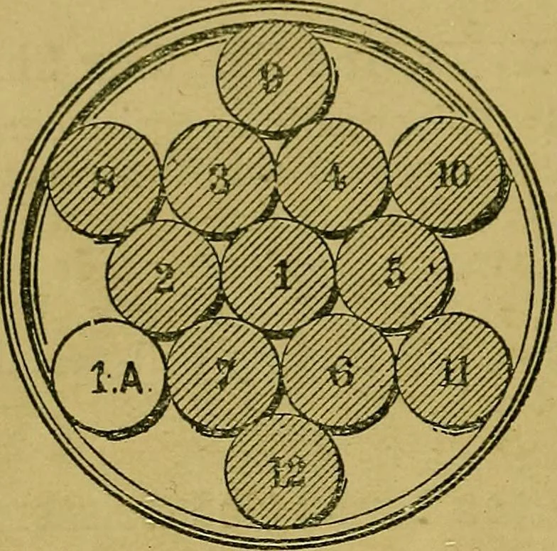 An illustration from Puzzles old and new, 1893, leaf 411