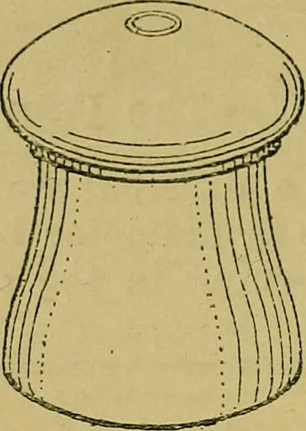 An illustration from Puzzles old and new, 1893, leaf 57