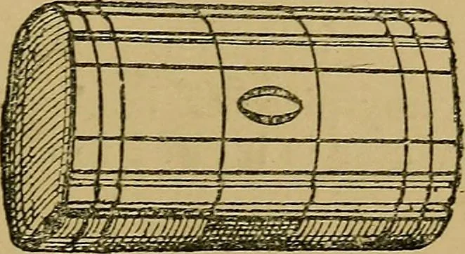 An illustration from Puzzles old and new, 1893, leaf 64