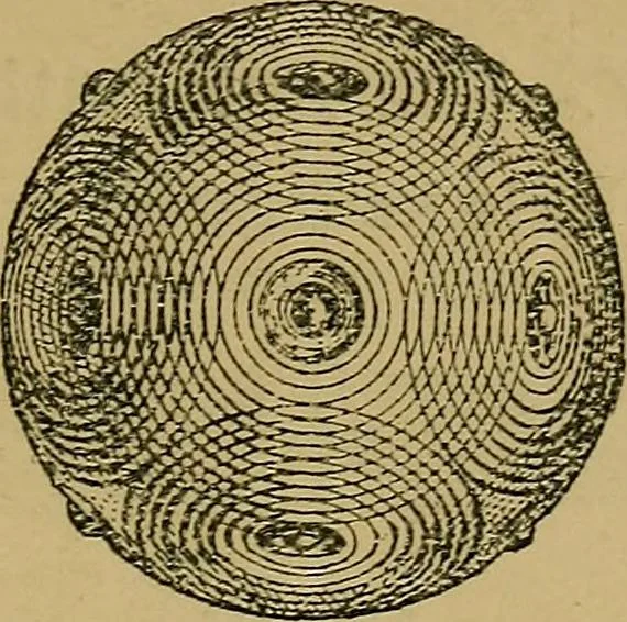 An illustration from Puzzles old and new, 1893, leaf 66