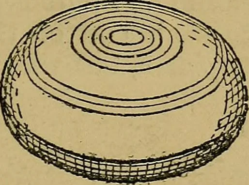 An illustration from Puzzles old and new, 1893, leaf 68