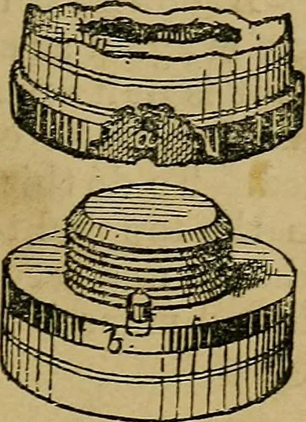 An illustration from Puzzles old and new, 1893, leaf 74