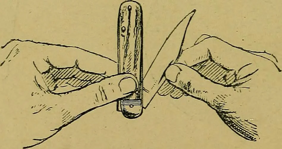 An illustration from Puzzles old and new, 1893, leaf 91