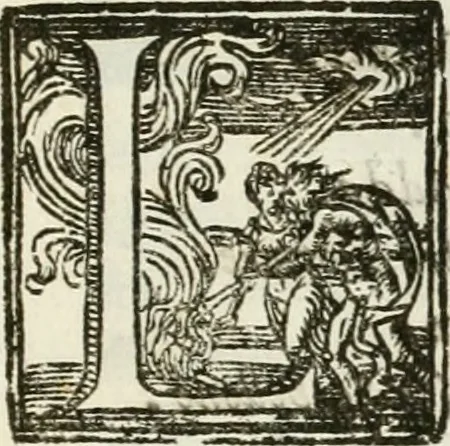 An illustration from Racconto delle pvbliche allegrezze fatte dalla citta di Milano alli iv. febraro MDCXXX. per la felice nascita del sereniss. primogenito di Spagna Baldasar Carlo Dominico, 1630, leaf 10