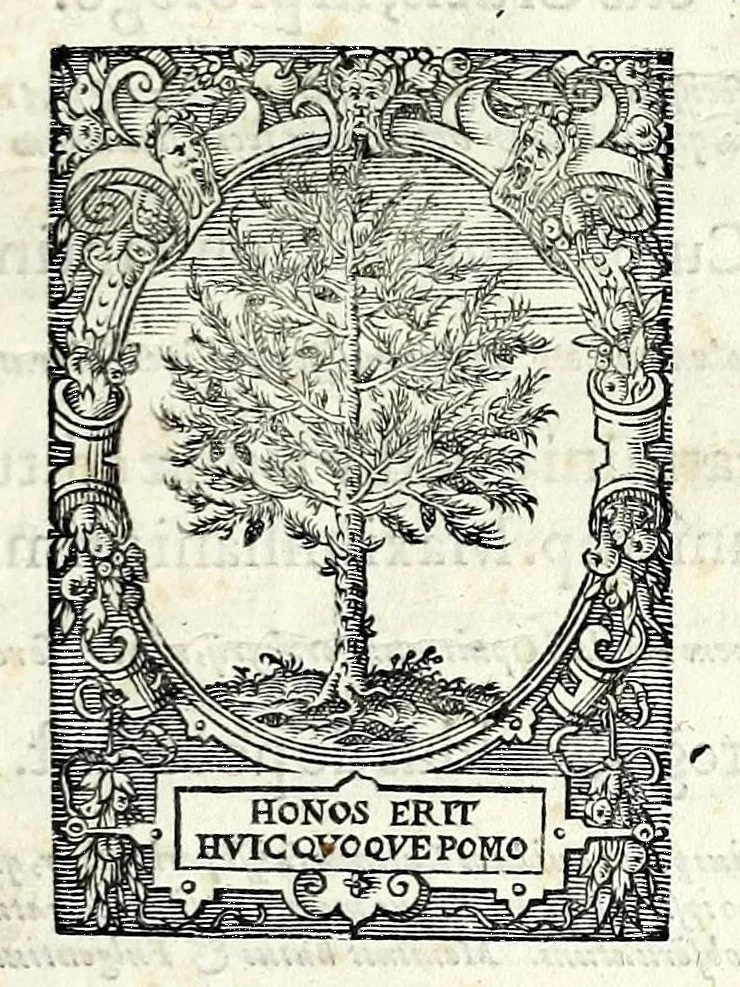 An illustration from Pvblilii Optatiani Porphyrii Panegyricvs dictvs Constantino Avgvsto. Ex codice manuscripto Pavlli Velseri, patricij Aug. Vind, 1595, leaf 7