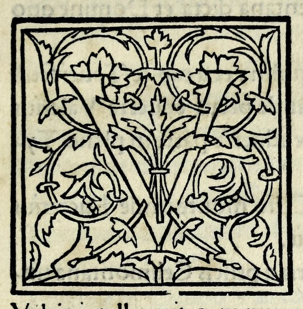 An illustration from P. Victor, Pomponius Laetus, Fabricius Camers, R. Volaterranus, De vrbe Roma scribentes. Flauius, De locis ac ciuitatibus Italiae, deq. eius appellationibus priscis ac nouis, 1520, leaf 9
