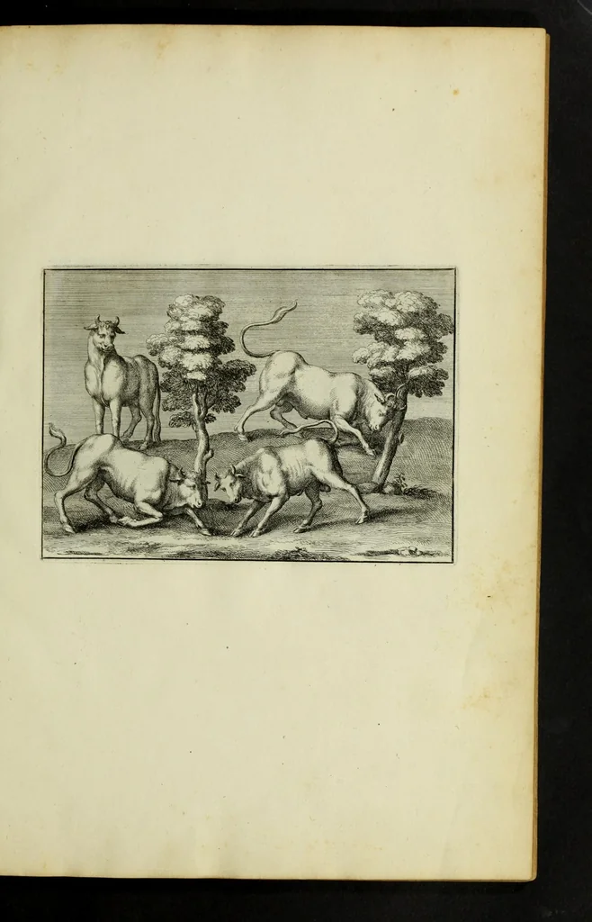 An illustration from P. Virgilii Maronis opera, 1677, leaf 13
