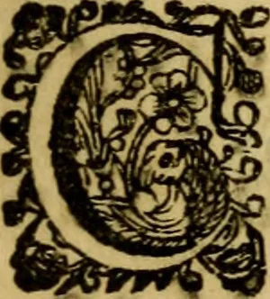 An illustration from P. Virgilii Maronis Opera in tres tomos divisa : cum integris notis Servii, Philargyrii, nec non J. Pierii variis lectionibus, & selectissimis plerisque commentariis Donati, Probi, Nannii, Sabini, Germani, Cerdæ, Taubmanni, & aliorum, 1680, leaf 8