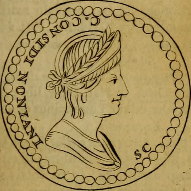 An illustration from P. Virgilii Maronis Opera in tres tomos divisa : cum integris notis Servii, Philargyrii, nec non J. Pierii variis lectionibus, & selectissimis plerisque commentariis Donati, Probi, Nannii, Sabini, Germani, Cerdæ, Taubmanni, & aliorum, 1680, leaf 920