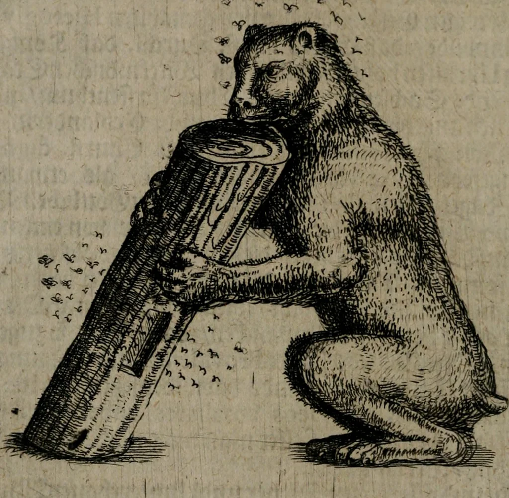 An illustration from Pyramis, oder, Sinnreiche Ehren-Seule : mit hieroglyphischen politico-mystico Sinn-Bildern, zu unterthänigsten Ehren und Glückwünschung der durchlauchtigisten und gnädigisten neuen Chur-Fürstlichen Herrschafft und Regierung Johan[n] Georg des Dritten, Churfürsten von Sachsen, 1681, leaf 19