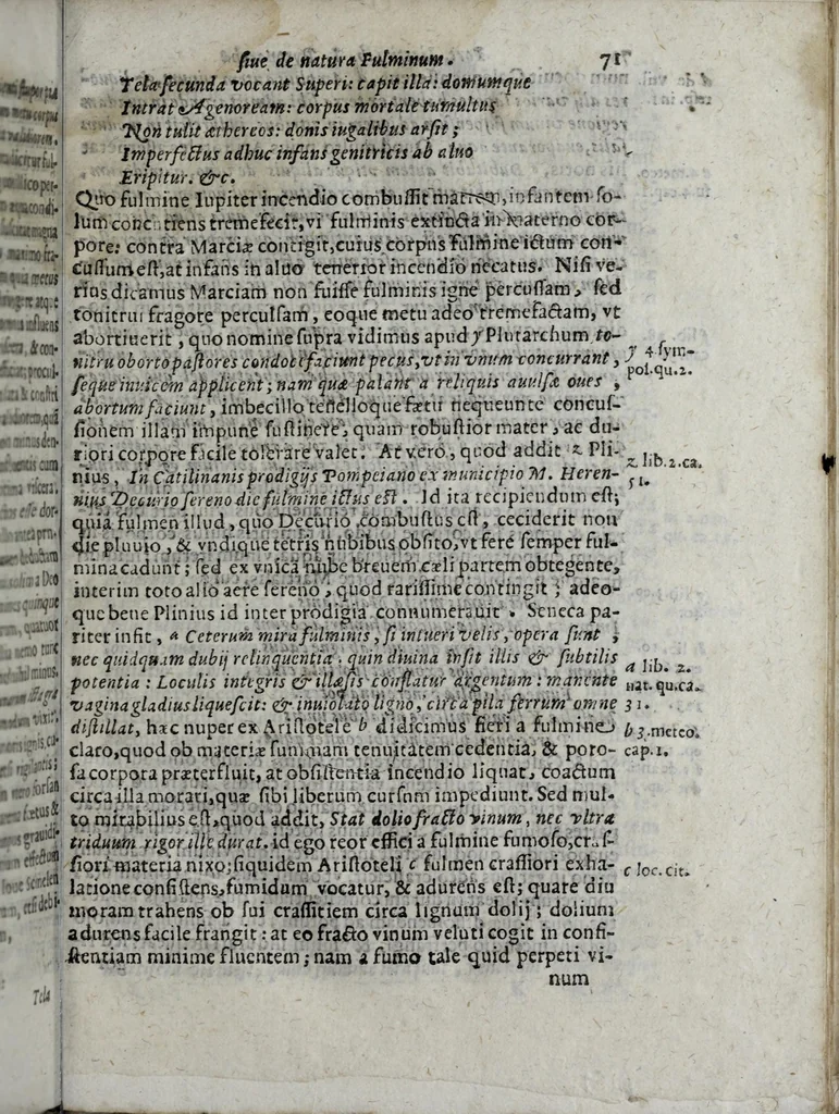 An illustration from Pyronarcha, siue, De fulminum natura deque febrium origine libri duo : in quibus & fulminum in mundo magno, & febrium in mundo paruo caussae naturales omnes, modus originis, idea, proprietates, differentiae, ac effectus admirabiles accurate tractantur : diligenter explicato vetere gripho pyronarchae, a Caelio Igiano inter Flores medicos descripto, 1634, leaf 93
