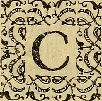 An illustration from Pyronarcha sive de fulminum natura de que febrium origine libri duo : in quibus & fulminum in mundo magno, & febrium in mundo paruo caussae naturales omnes, modus originis, idea, proprietates, differentiae, ac effectus admirabiles accurate tractantur : diligenter explicato vetere gripho pyronarchae, a caelio igiano inter flores medicos descripto, 1634, leaf 129