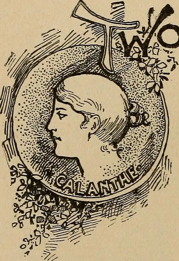 An illustration from Pythian knighthood, it history and literature;, 1888, leaf 357